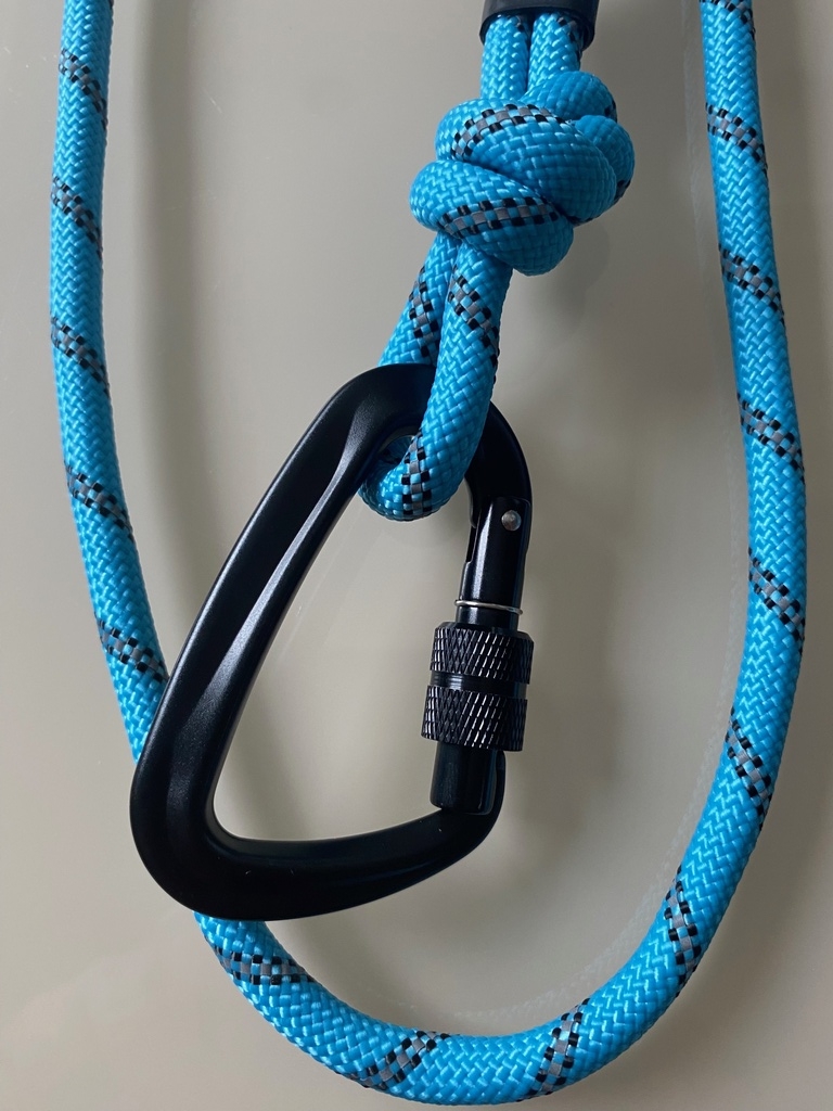 Οδηγός με κορδόνι ιμάντα Carabiner ΜΠΛΕ